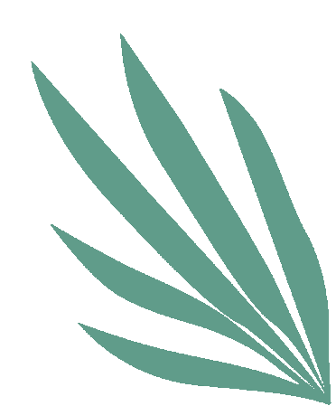 火一开学季|2022秋火炬一小开学第一课