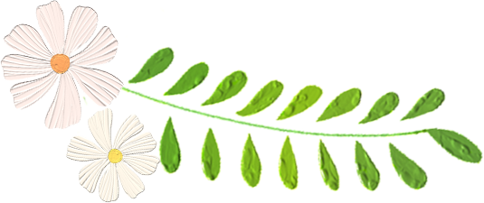 火一动态|火炬一小“绿色教师节”倡议书
