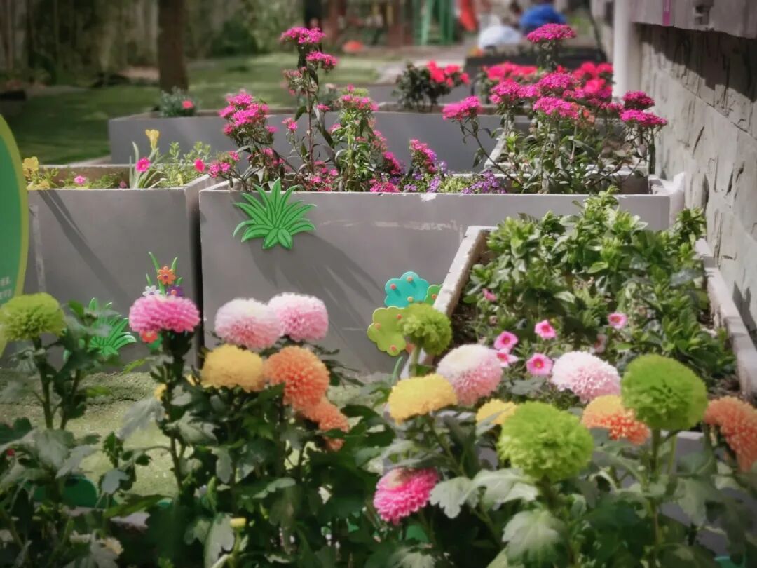 火一班主任节系列活动 | 请您收下，这封来自春天的告白