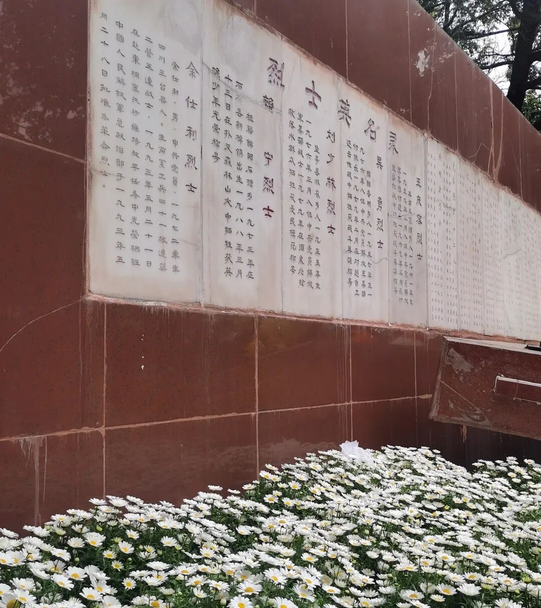 火一动态|缅怀英雄先烈 传承红色基因||清明祭扫活动