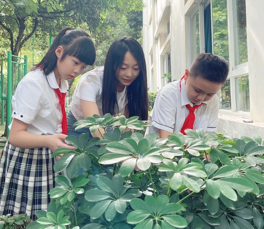 榜样的力量  火炬一小第39个教师节受表彰教师