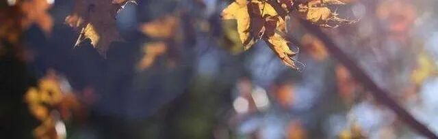 火一动态 |“开笔启智 礼润童心”--火炬一小一年级开笔礼