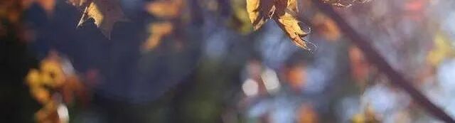 火一动态 |“开笔启智 礼润童心”--火炬一小一年级开笔礼