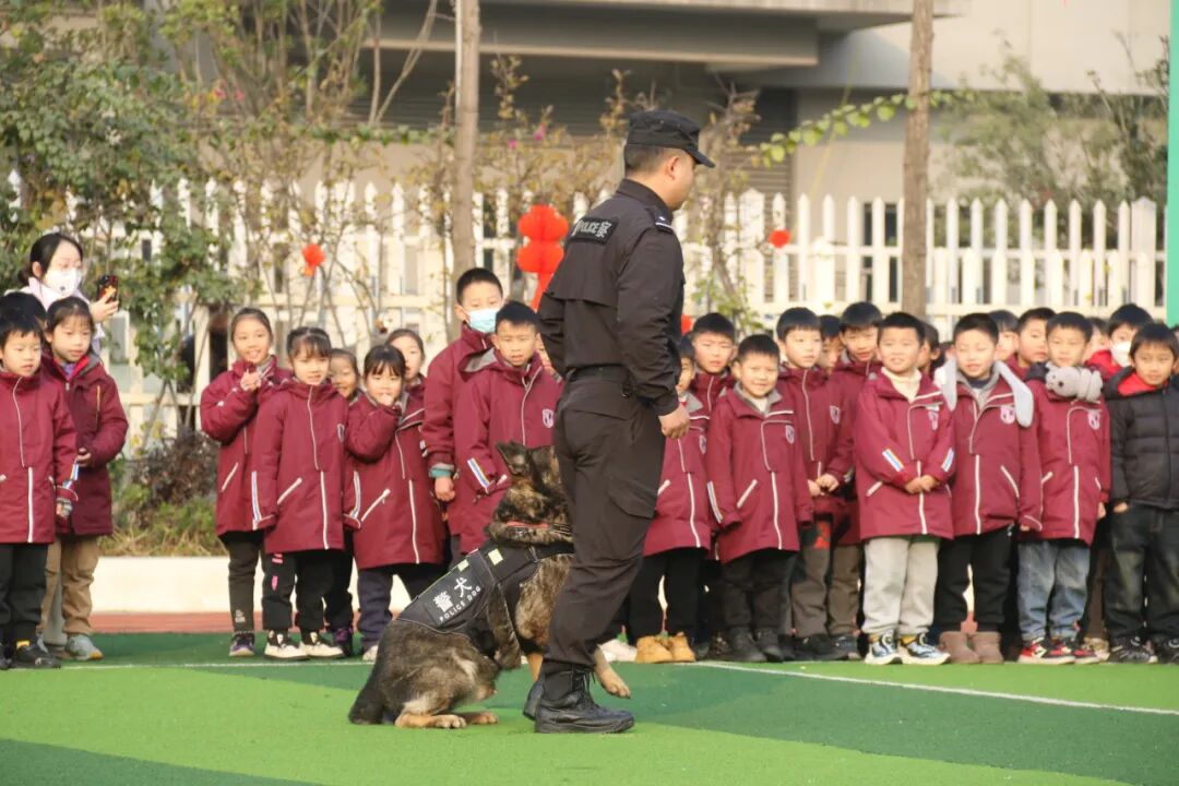 火一动态丨当“警察节”遇上一场特别“联盟”——绵阳市公安局特巡警支队与高新区火炬一小开展警营开放日活动