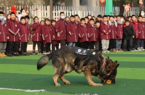 火一动态丨当“警察节”遇上一场特别“联盟”——绵阳市公安局特巡警支队与高新区火炬一小开展警营开放日活动