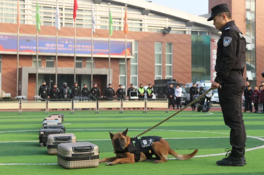 火一动态丨当“警察节”遇上一场特别“联盟”——绵阳市公安局特巡警支队与高新区火炬一小开展警营开放日活动
