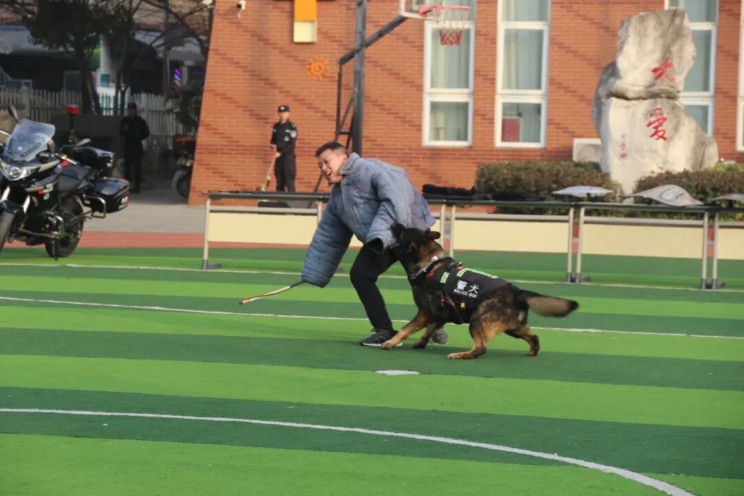 火一动态丨当“警察节”遇上一场特别“联盟”——绵阳市公安局特巡警支队与高新区火炬一小开展警营开放日活动