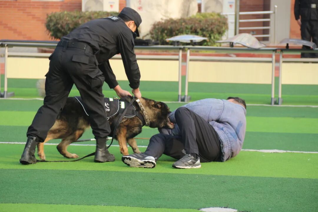 火一动态丨当“警察节”遇上一场特别“联盟”——绵阳市公安局特巡警支队与高新区火炬一小开展警营开放日活动