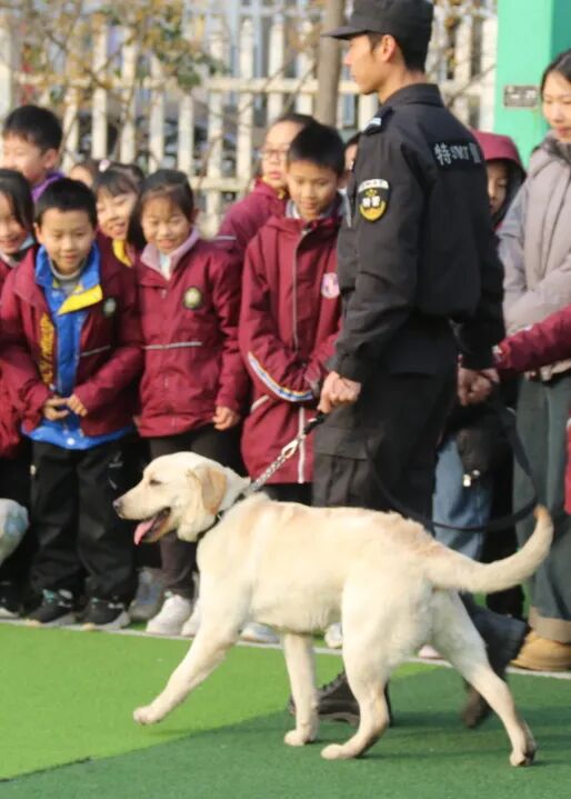 火一动态丨当“警察节”遇上一场特别“联盟”——绵阳市公安局特巡警支队与高新区火炬一小开展警营开放日活动