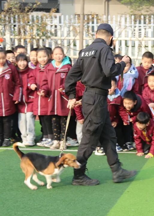 火一动态丨当“警察节”遇上一场特别“联盟”——绵阳市公安局特巡警支队与高新区火炬一小开展警营开放日活动