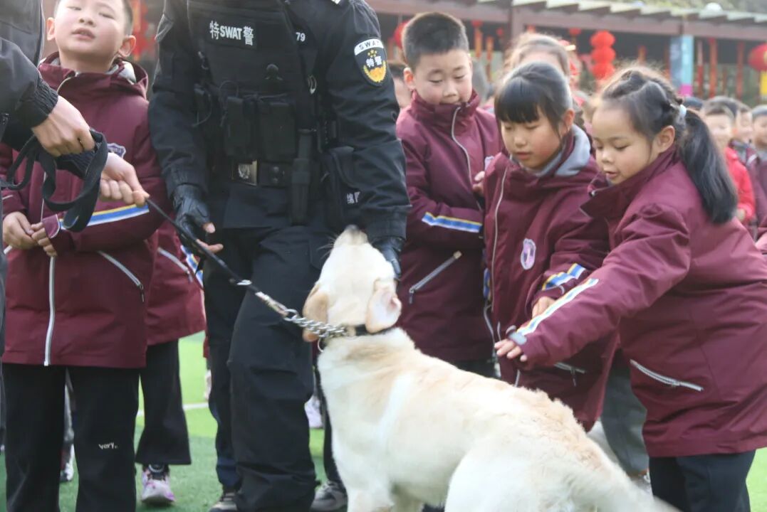 火一动态丨当“警察节”遇上一场特别“联盟”——绵阳市公安局特巡警支队与高新区火炬一小开展警营开放日活动