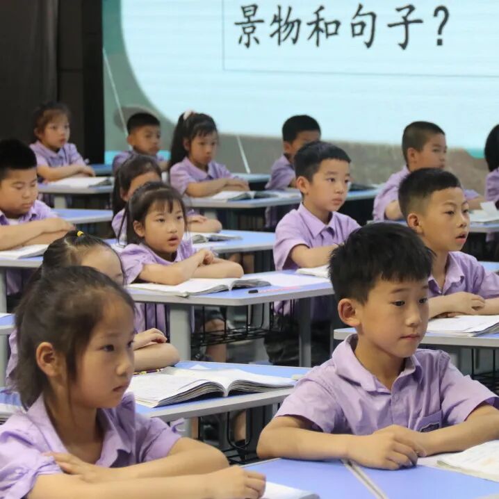 目有繁星，于教研“深”处见风景——火炬一小“学为中心”课堂教学改革