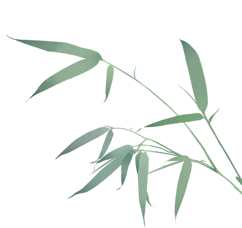 【火一月刊】十月：未来星芒 校启新章