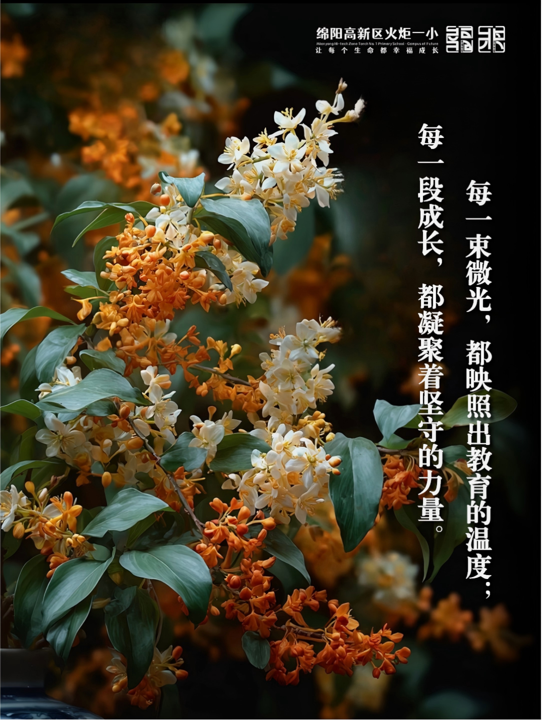 【火一月刊】十月耕耘，星光满载 在光影交织中，珍藏教育的每一瞬微光