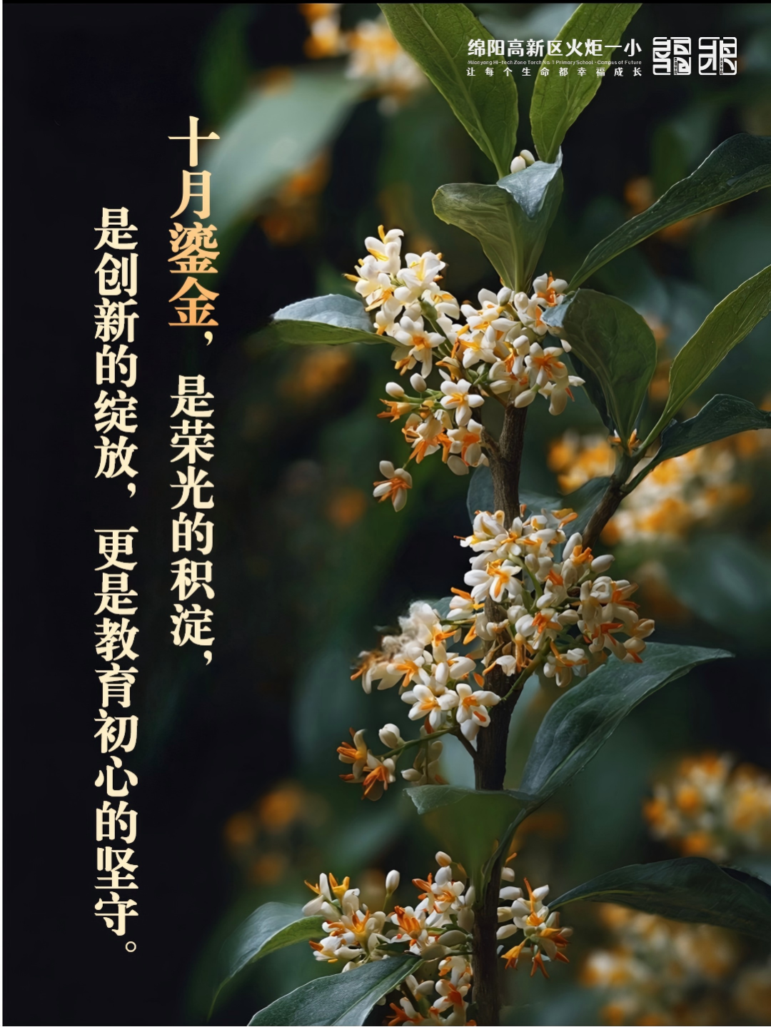 【火一月刊】十月耕耘，星光满载 在光影交织中，珍藏教育的每一瞬微光