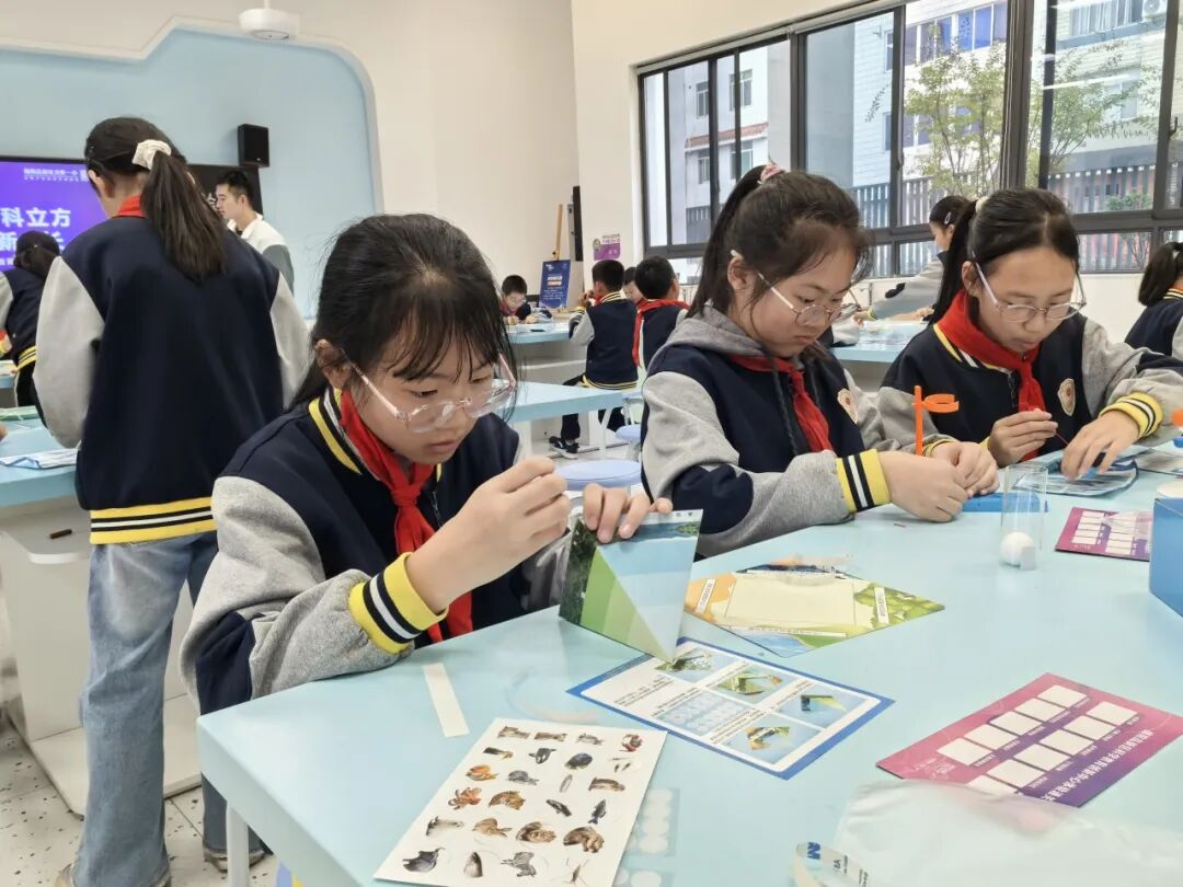 高新区科创开放周!火炬一小 “未来・科立方” 聚 10 校 400 娃 激活区域科教资源
