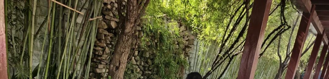 【火一动态】春生,让阅读扎根——火炬一小第十三届读书节圆满落幕