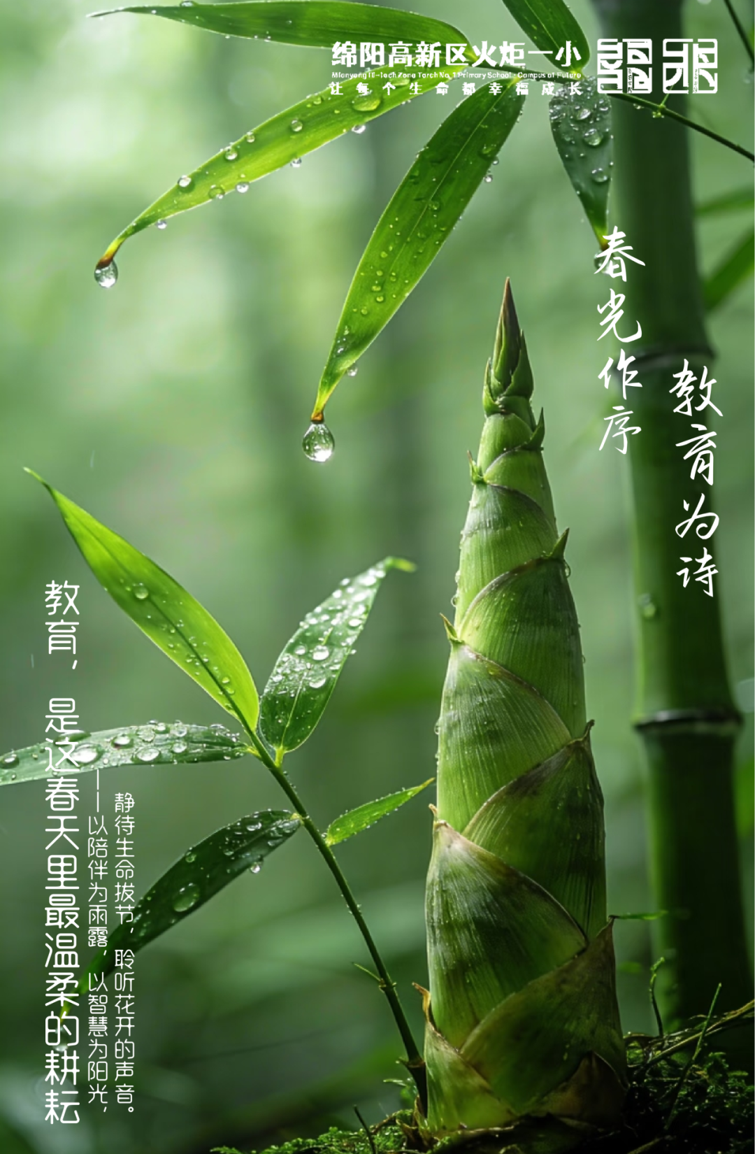 【火一月刊】春光作序,教育为诗 ——三月,火炬一小寄出一封春日来信