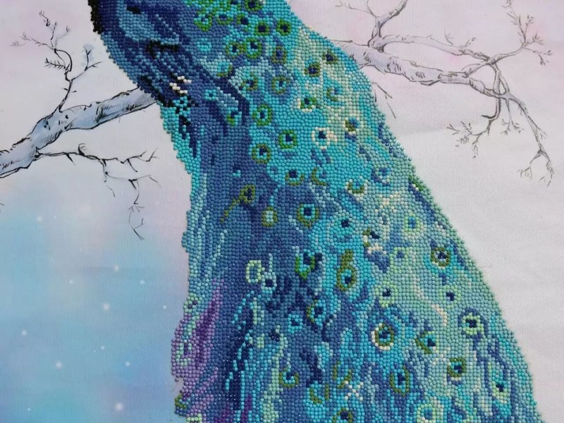 【火一动态】不一样的暑假---2017年秋暑假实践作业展