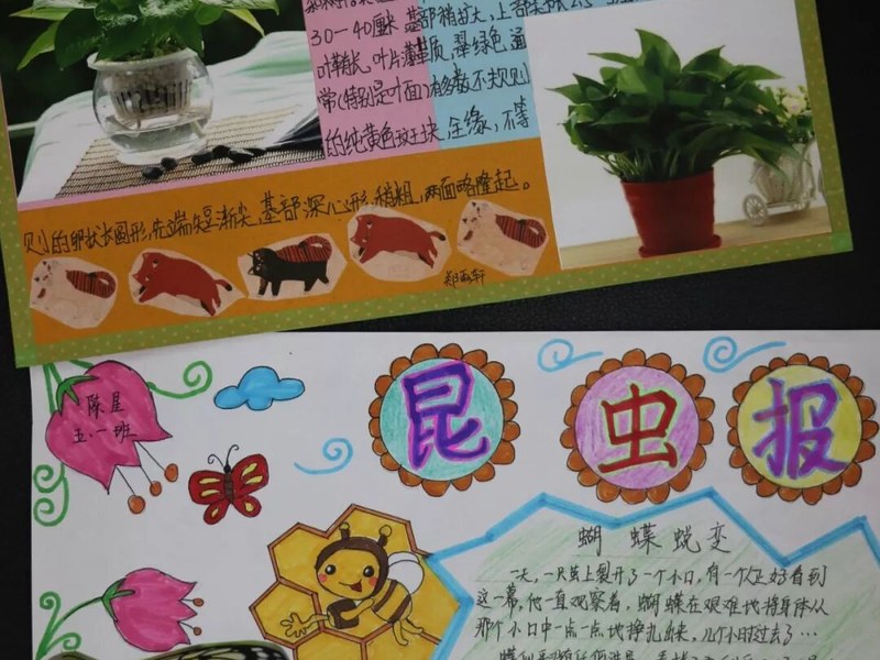 【火一开学季5】做实践达人，夺“快乐成长勋章”
