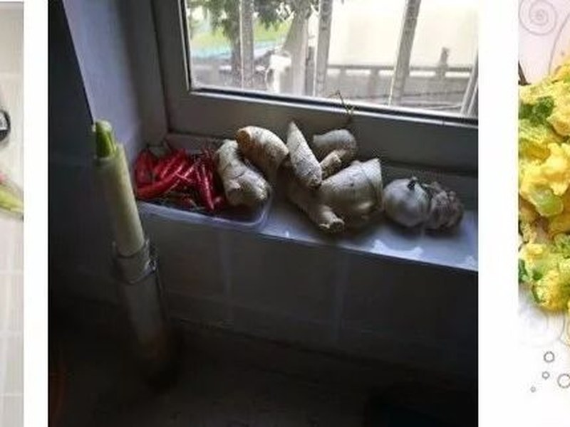 【火一动态】非常时期，写给老师、学生的学习和生活指导攻略，请收好！