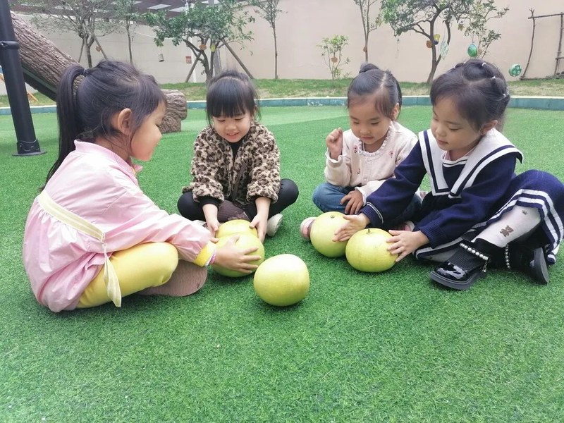 【一幼动态】秋日,与你“柚”戏|火炬一幼第一届“柚子节”活动