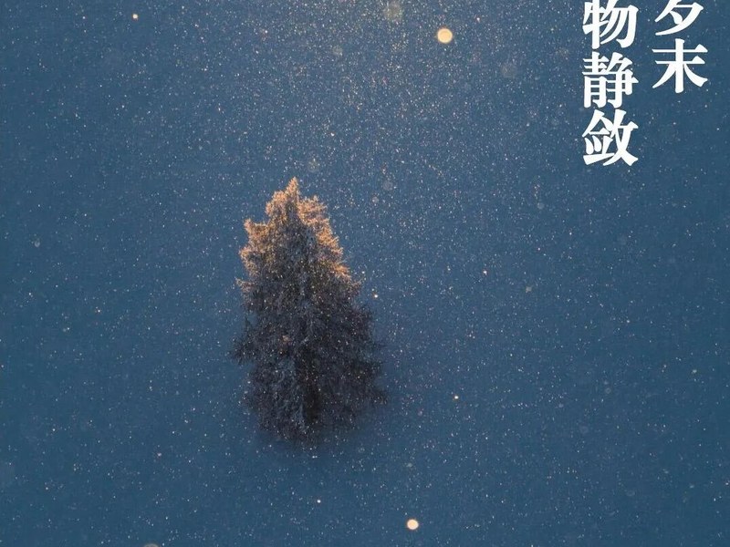【火一月刊】珍藏岁末的星光｜火炬一小十二月教育叙事 ——在冬天的故事里，看见教育悄然绽放的春天