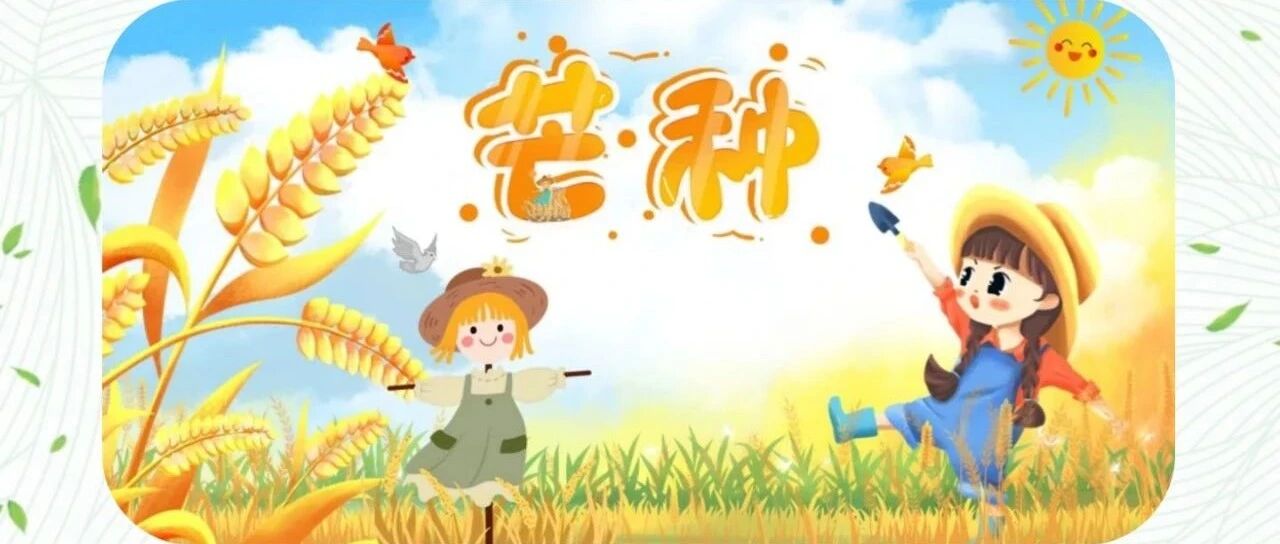 “芒”有所获   “种”有所得